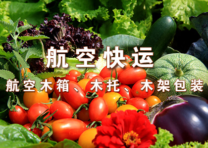 头玩app